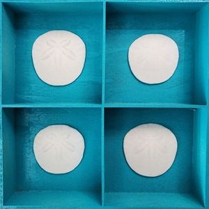 Hand crafted sea shell home decor frames in 5 different styles